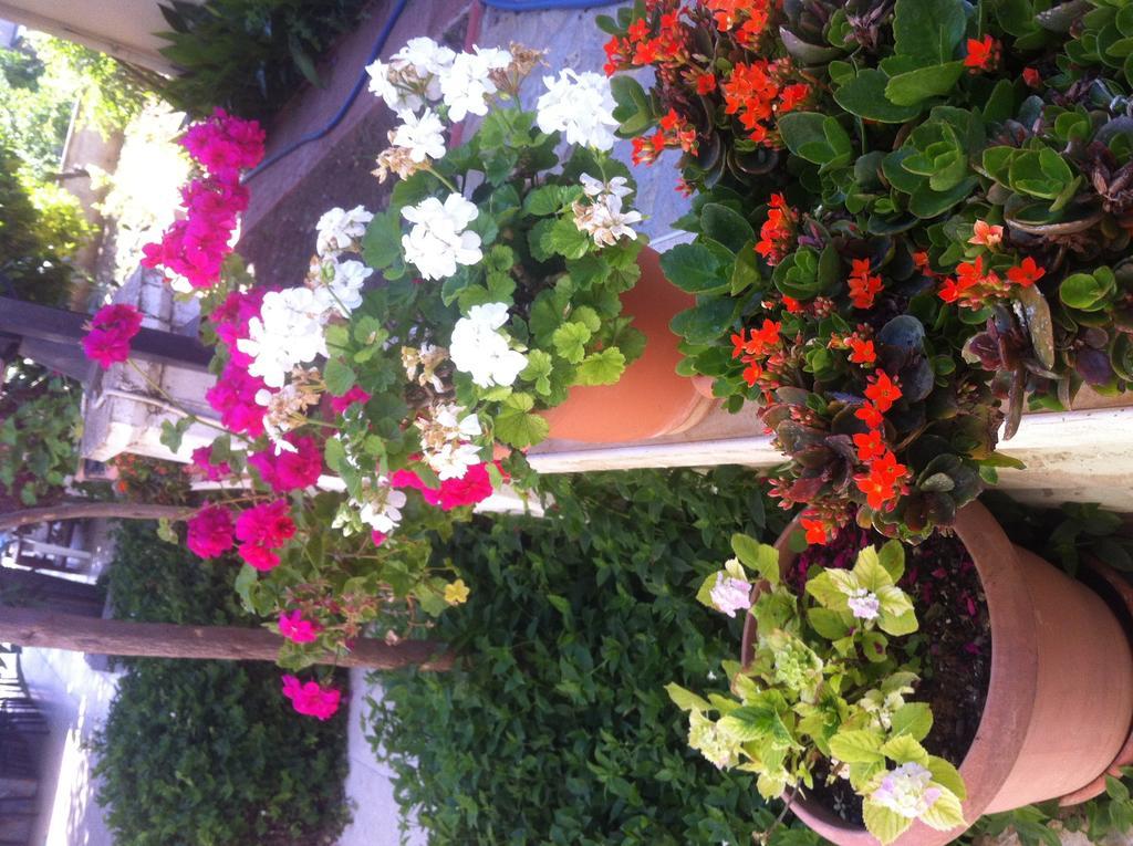 Besik Hotel Fethiye Esterno foto