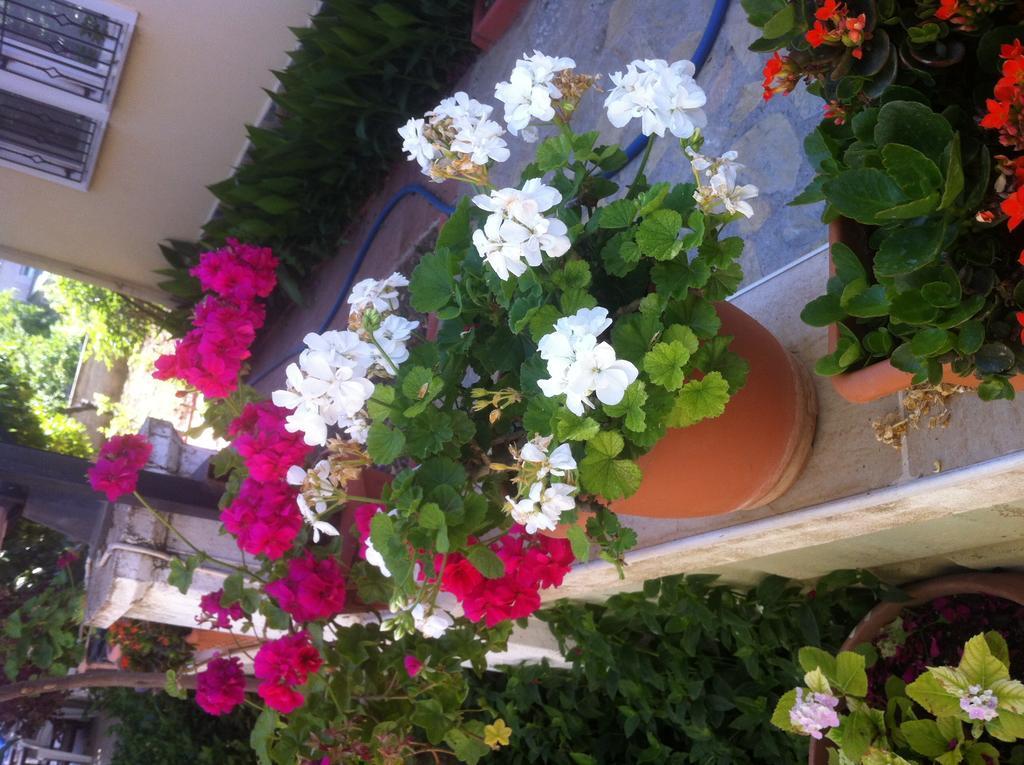 Besik Hotel Fethiye Esterno foto