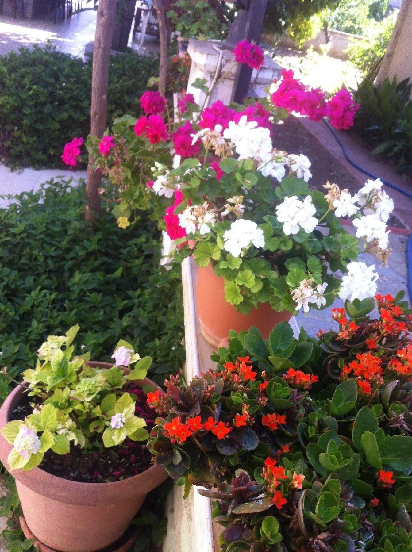 Besik Hotel Fethiye Esterno foto