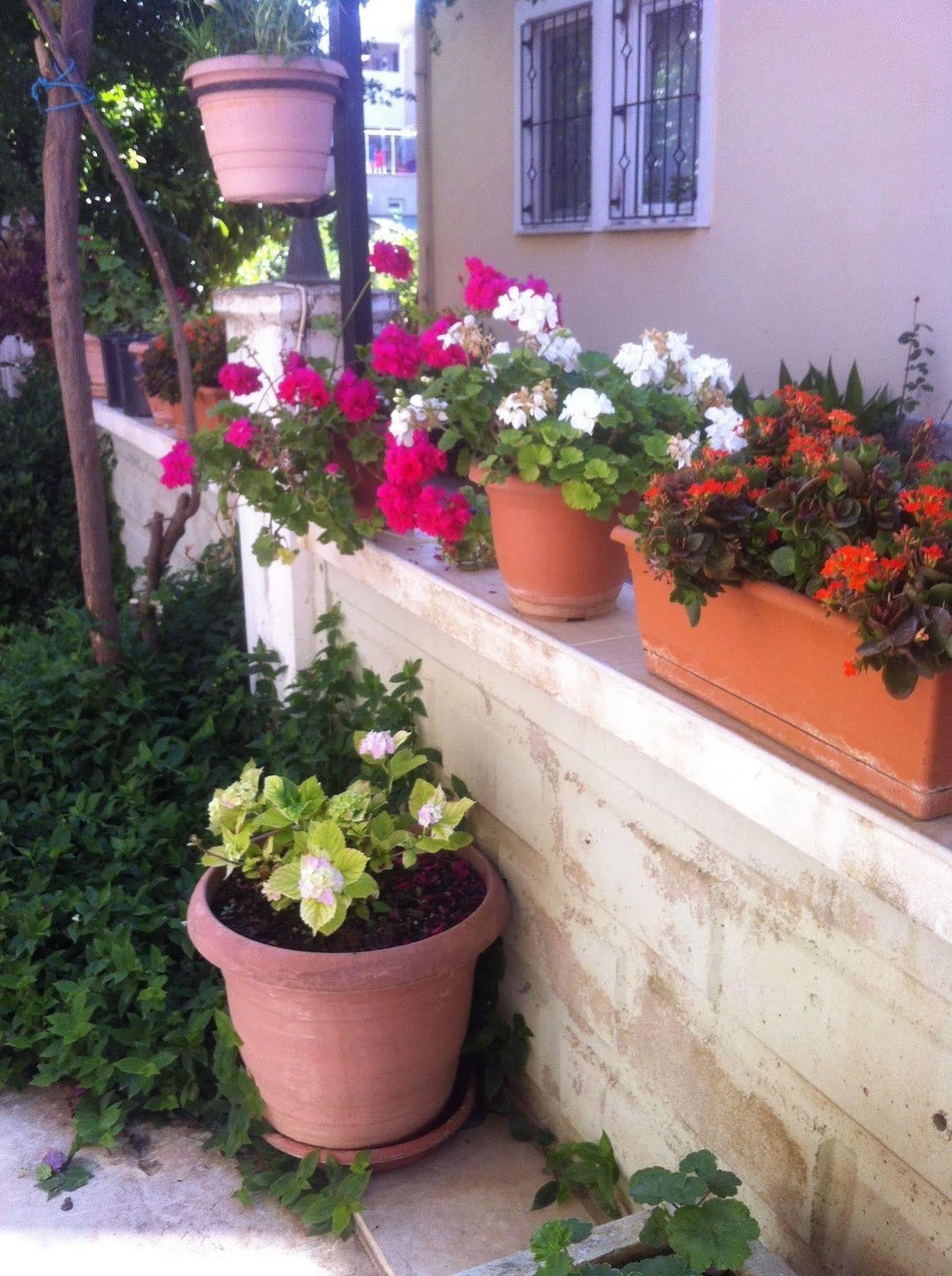 Besik Hotel Fethiye Esterno foto